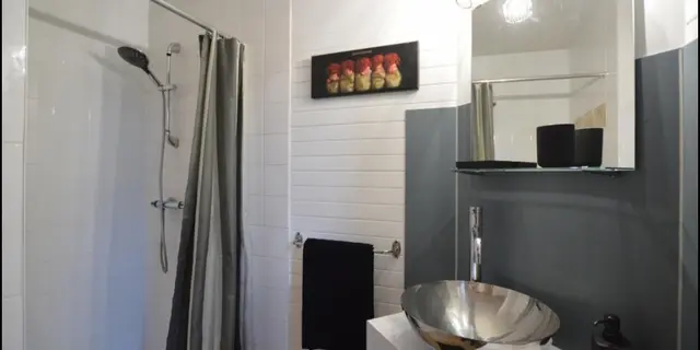 Gite le Verdoyant la pélerinière salle de bain