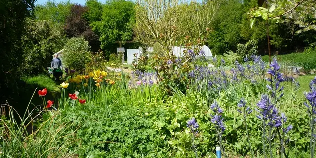 Gite terre Compagne - Jardin
