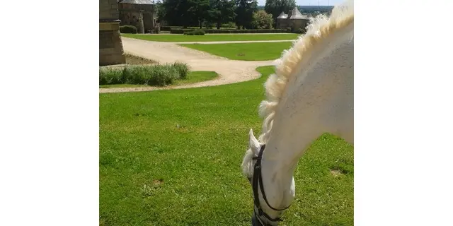Haras de La Bourdonnaye