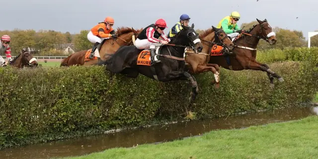Saut d'obstacle