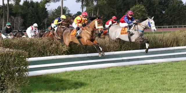 Saut d'obstacle