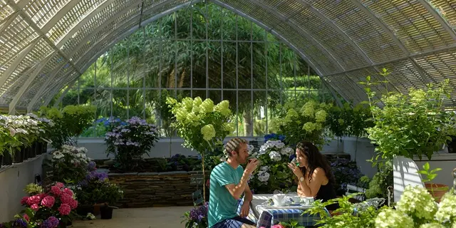 Hortensias - salon de thé - pépinière - Haut bois - Taupont - Bretagne