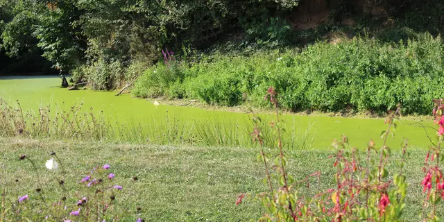 La Motte Joubin