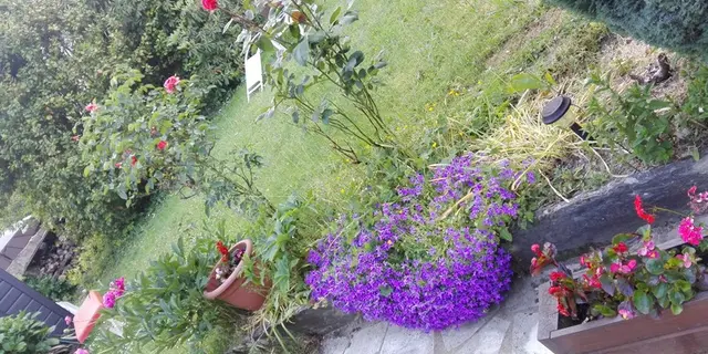 IMG-20180521-203349