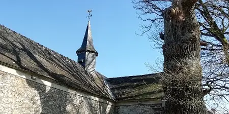 Chênes creux de la Chapelle de Kerméant - Néant sur Yvel