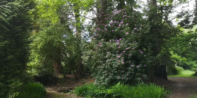 CH sur l'Ille Dana_Paimpont_parc