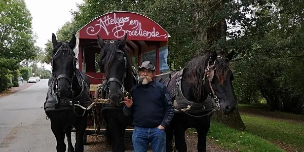 La calèche est dans le pré