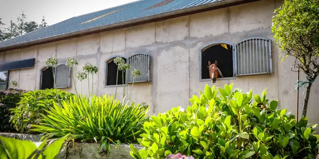 Cottage de la Doucette