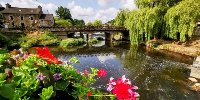 IMG_20250608_104625~2