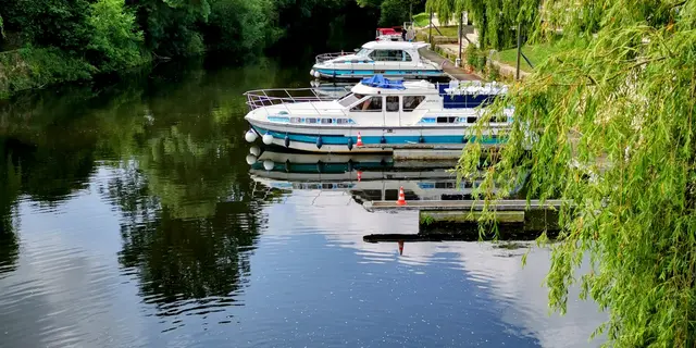 IMG_20250608_105447~2