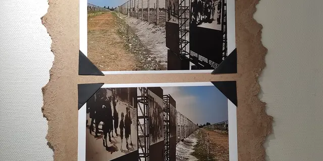 exposition_Auschwitz_80ans_liberation_mediatheque_Mauron