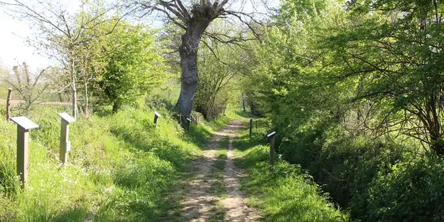 Chemin de la biodiversité