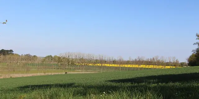 Campagne de Saint-Pern