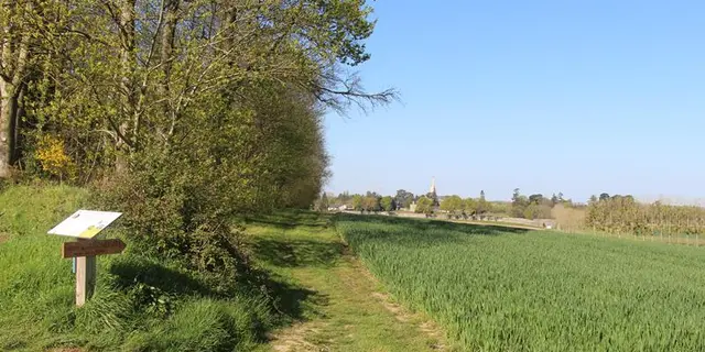 Campagne de Saint-Pern