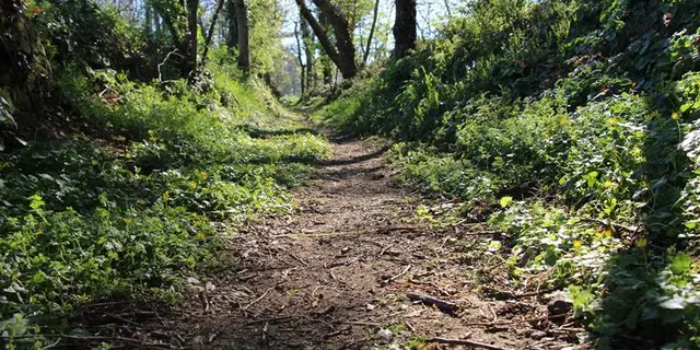 Montée vers Bécherel