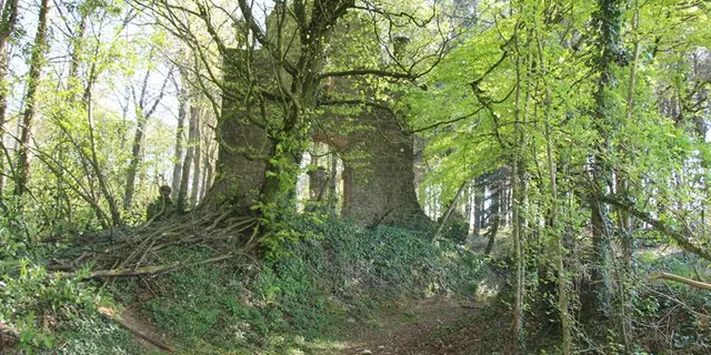 Ruines de Caradeuc