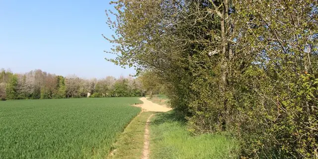 Petit chemin devient grand
