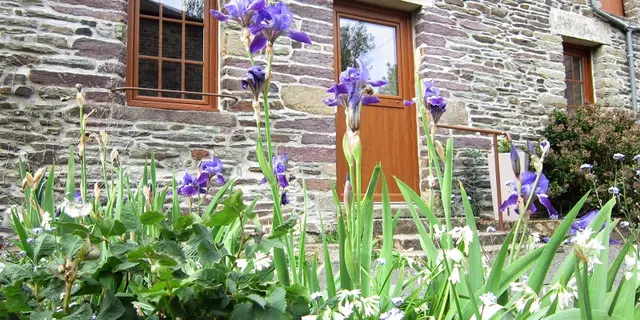 Gîte La Maison du Meunier