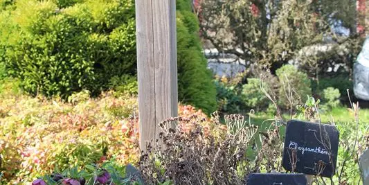 Chemin de la biodiversité