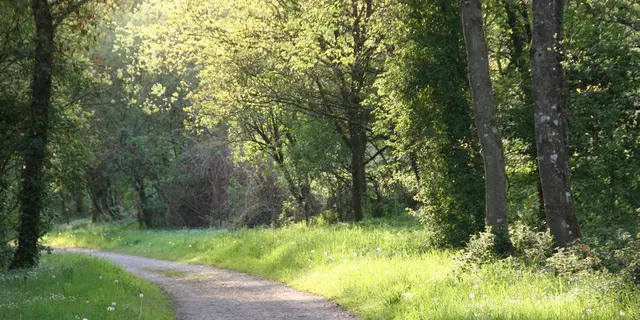 Voie verte Ploërmel-Guer-Messac