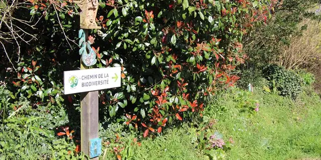 Chemin de la biodiversité
