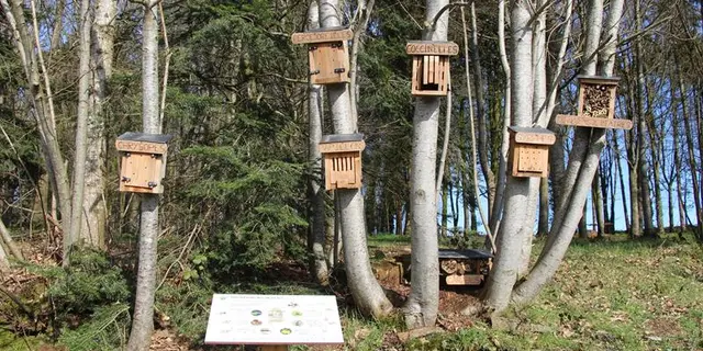 Chemin de la biodiversité