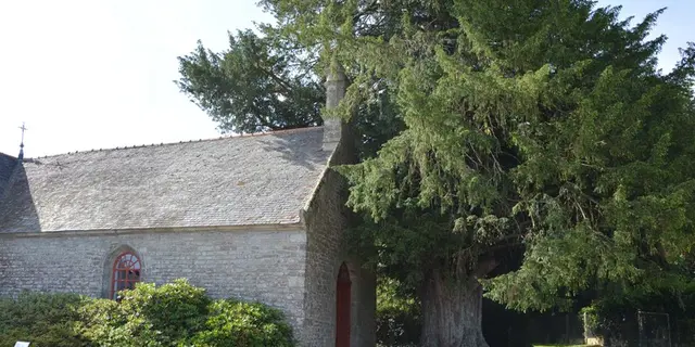 If de la Chapelle Saint Yves - Cruguel - Arbres remarquables du Morbihan