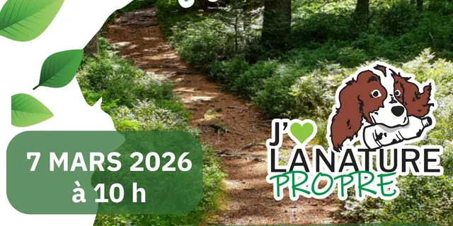 Format A4.pdf - meen