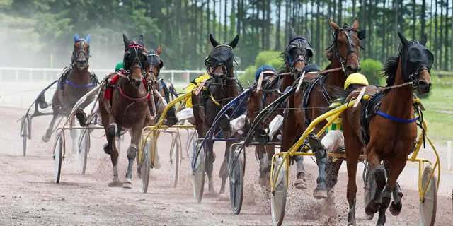 HIPPODROME MAURE DE BRETAGNE