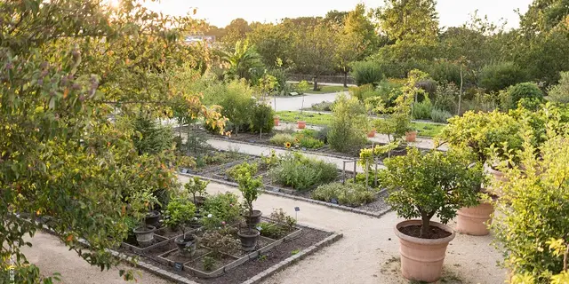 JARDIN BOTANIQUE ©E. Berthier