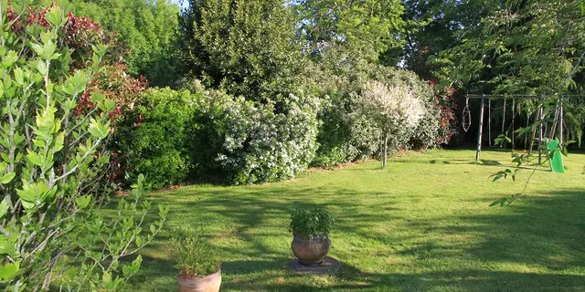 Chambre - hôtes - Figuier Gué - jardin - Lantillac - Brocéliande