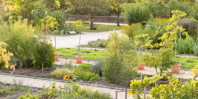 Jardin Botanique Emmanuel Berthier (2)