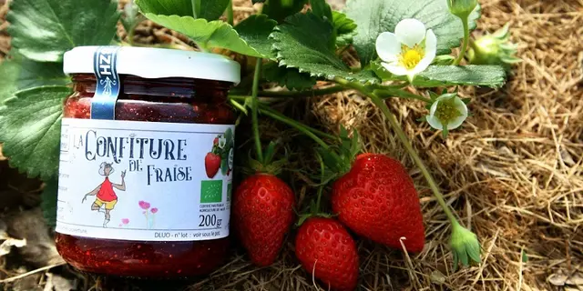 Jardin-Jardine-paysan cuisinier-Confiture de Fraise Bio_Morbihan 56