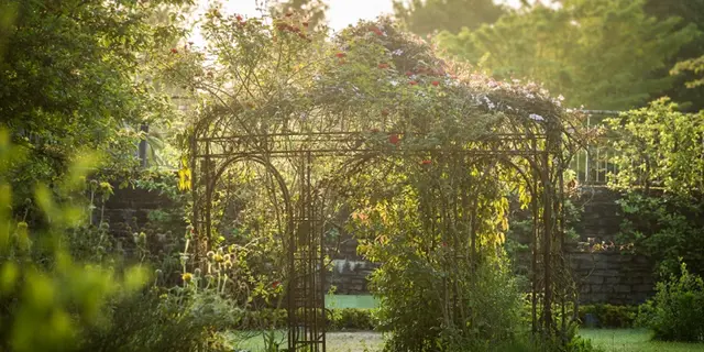 JardinBotanique