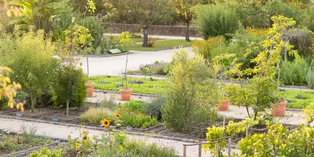 JardinBotanique3