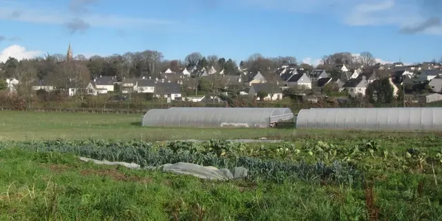 Les jardins du chat qui rit - La Chapelle-Caro - Val d'Oust - Morbihan