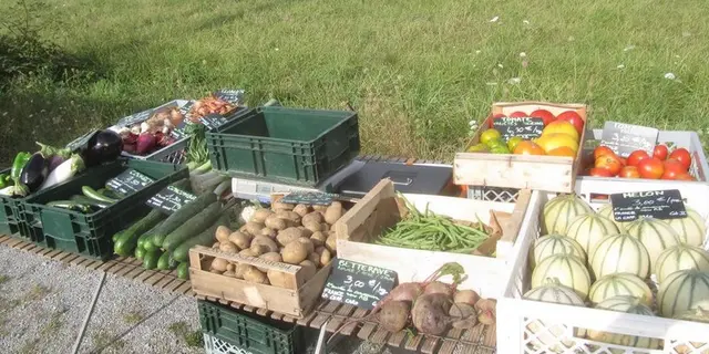 Les jardins du chat qui rit - La Chapelle-Caro - Val d'Oust - Morbihan