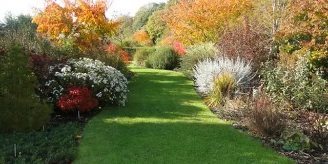 JardinsdelaPeignie_Ménéac_DestinationBrocéliande