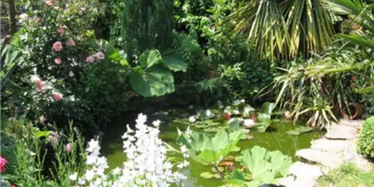 LE DOUARON - Jardin - Morbihan - Bretagne Sud