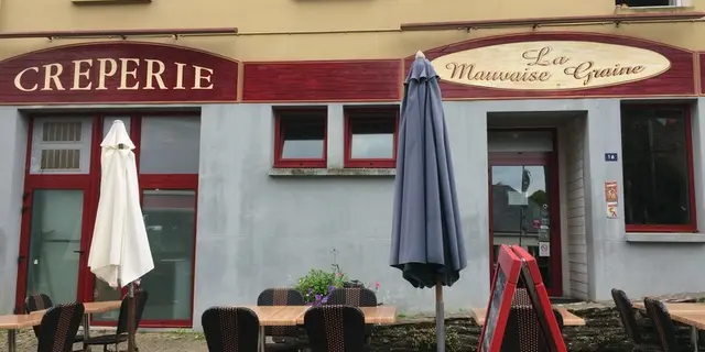 La Mauvaise Graine