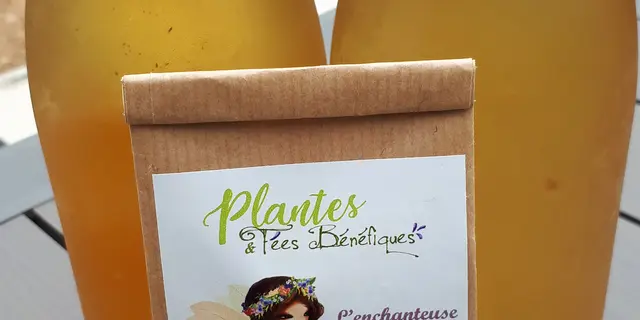 Plantes et fées bénéfiques