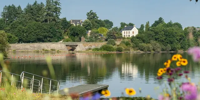 Lac au Duc - fleurs - été - Ploërmel - Brocéliande - Bretagne