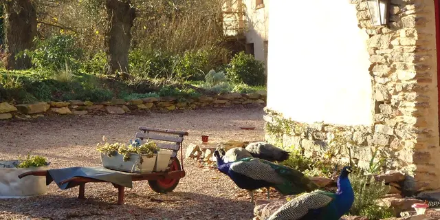 Le-Logis-de-l-Etang-de-l-Aune-9
