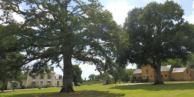 Le Logis du Chateau Pin