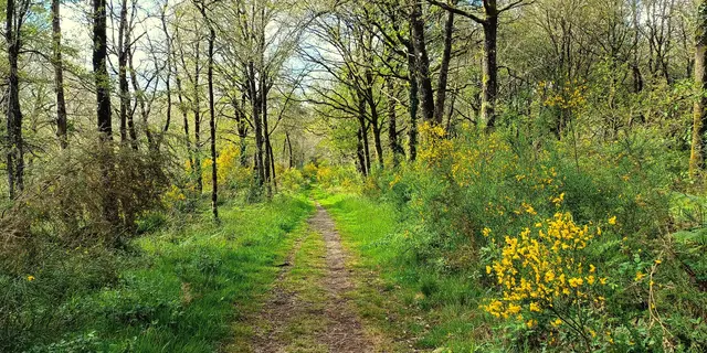 Le Sentier des Fées - Crédit KB