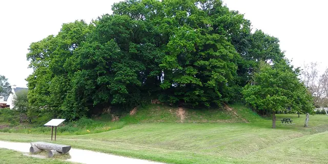 La Motte Joubin