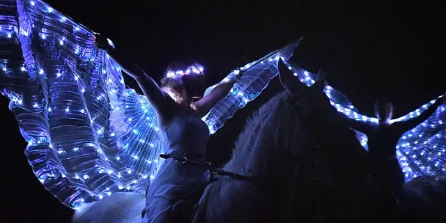 Le royaume des étoiles-Théâtre équestre Bzh