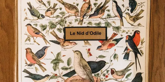 Gîte de la Perdrilais - Le Nid d'Odile