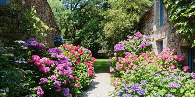Studio - Les Floralis - La Grée St Laurent - Brocéliande - Bretagne