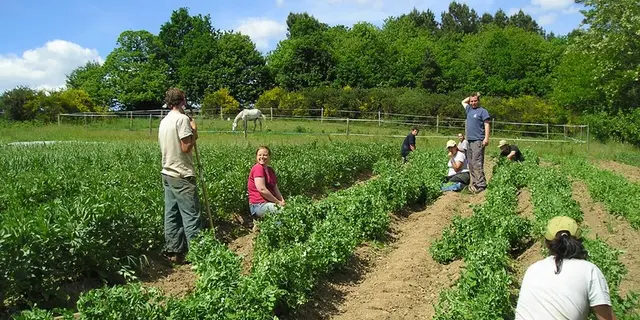 Les Jardins de Cahéran - AMISEP - Guillac - Morbihan - Bretagne